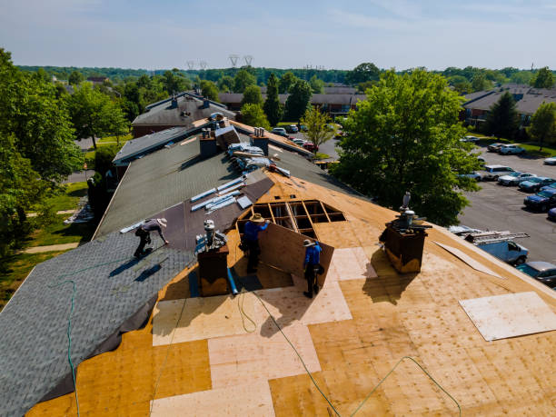 Best Flat Roof Repair Services  in Burns Flat, OK
