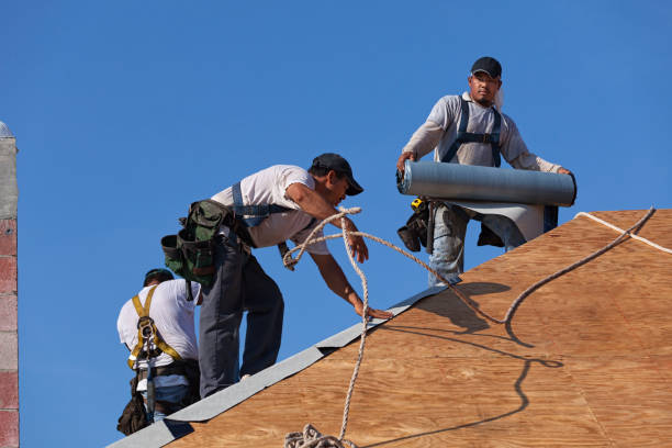 Best Shingle Roofing Installation  in Burns Flat, OK