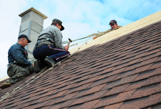 Best Roof Installation Near Me  in Burns Flat, OK